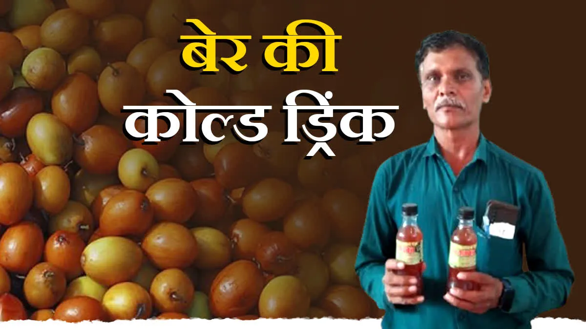 देसी बेरी की कोल्ड ड्रिंक, किसान ने बनाया दिमागी और शारीरिक शक्ति देने वाला कॉम्बो