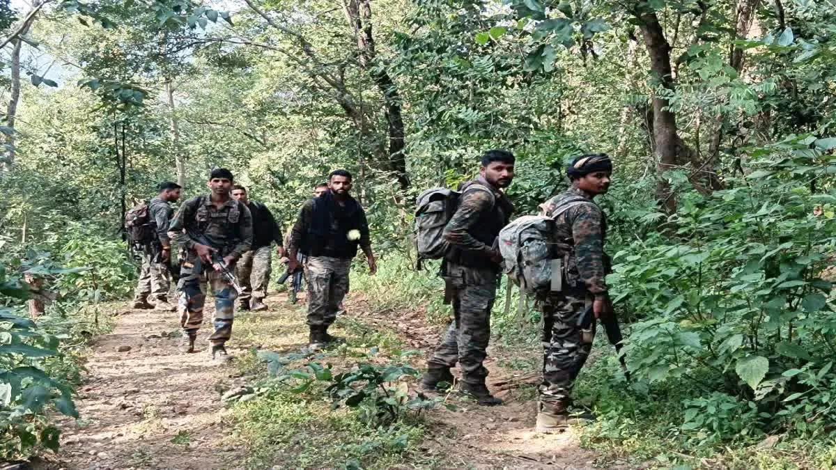 मंडला में हॉक फोर्स और नक्सलियों के बीच एनकाउंटर, दो महिला नक्सली ढेर, गोलीबारी जारी