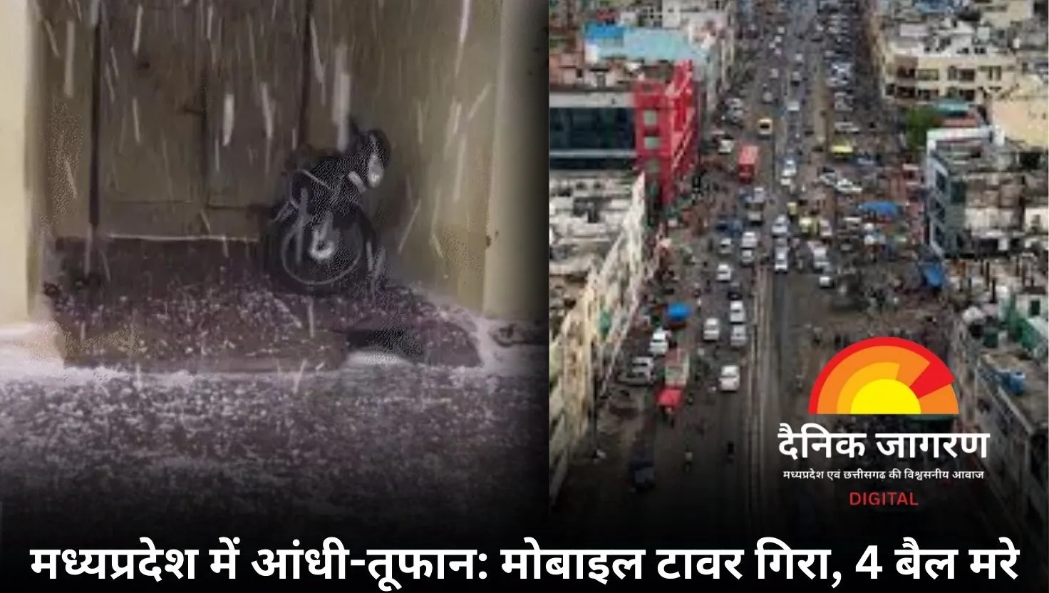 आंधी से मोबाइल टावर गिरा, 4 मवेशी मरे; शाजापुर में 73Km की रफ्तार से हवा चली, डिंडौरी और मैहर में ओले गिरे