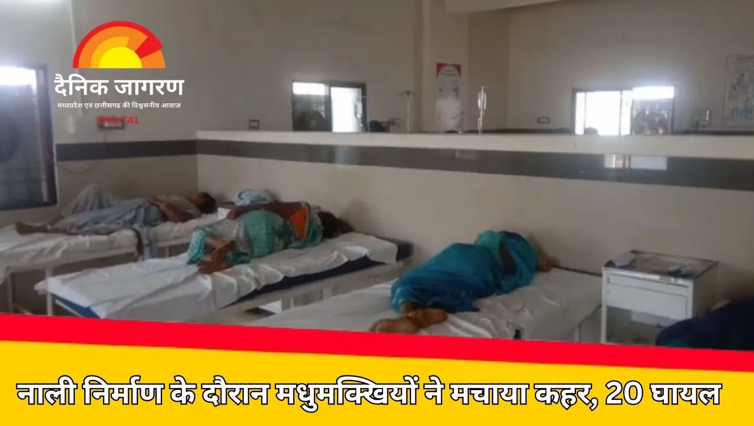  मजदूर दिवस पर मजदूरों पर मधुमक्खियों का कहर, निर्माण कार्य के दौरान 20 घायल