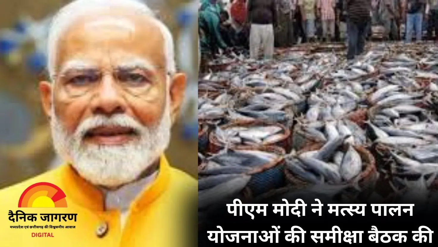 केंद्र का मत्स्य पालन क्षेत्र के विकास पर जोर, पीएम मोदी ने की योजनाओं की समीक्षा बैठक