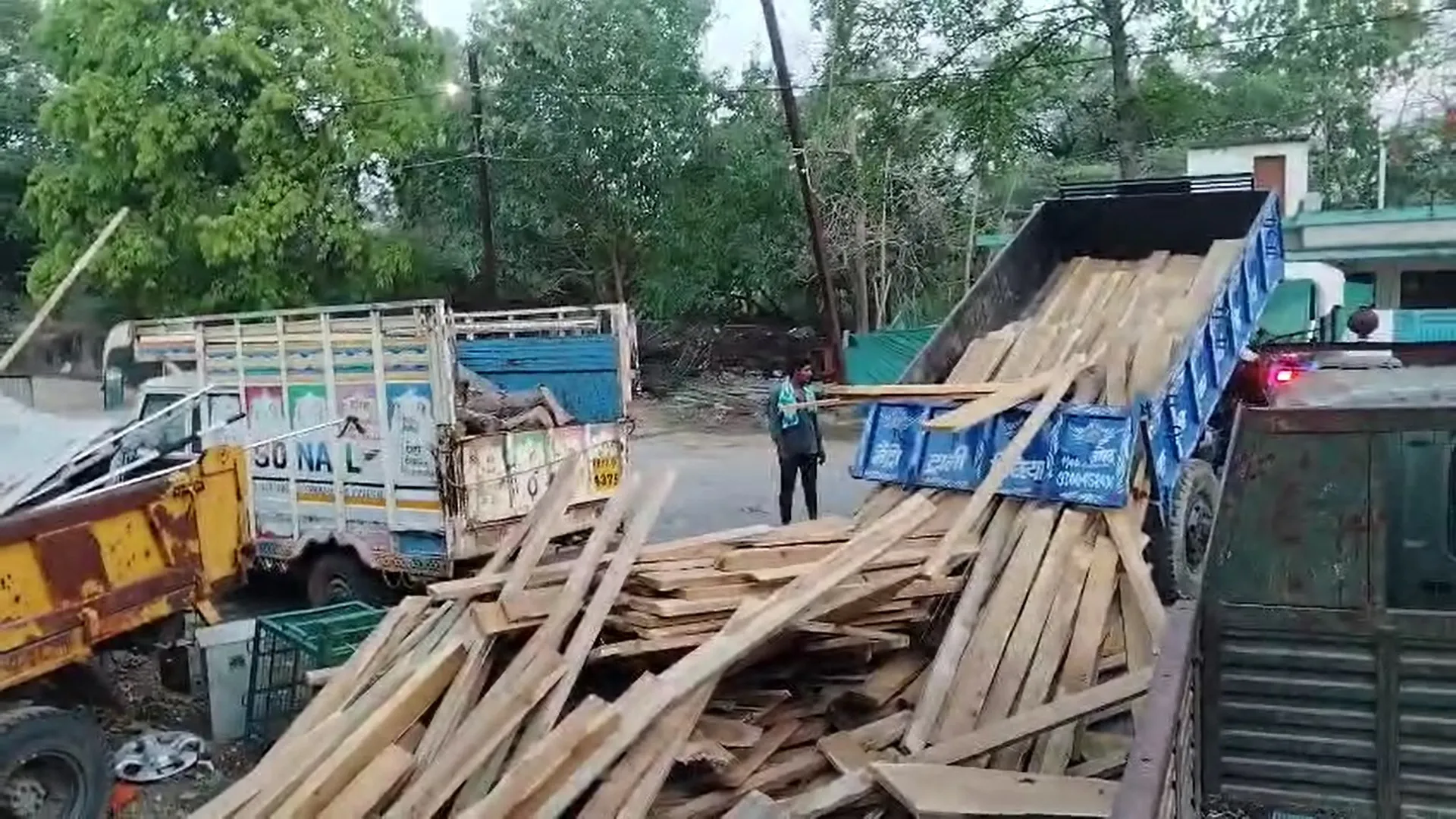 रीवा वन विभाग की बड़ी कार्रवाई: गडरिया गांव से ₹4 लाख की अवैध सागौन लकड़ी जब्त