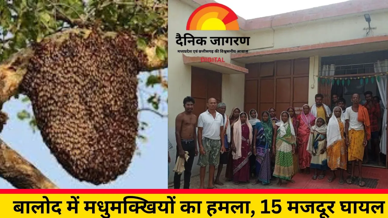 बालोद में मधुमक्खियों का कहर: मजदूरों पर झुंड ने किया हमला, 15 घायल, महिला की हालत गंभीर