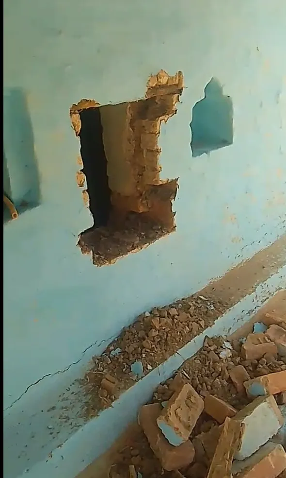 पालतू कुत्तों को बेहोश कर चोरों ने उड़ाए 90 हजार के जेवर और नकदी