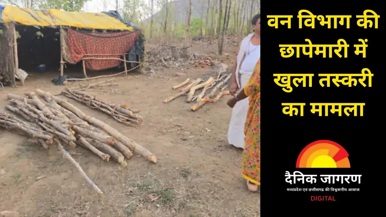 सतना में वन विभाग की बड़ी कार्रवाई: 2 गिरफ्तार, 13 सागौन के नग और जलाऊ लकड़ी जब्त