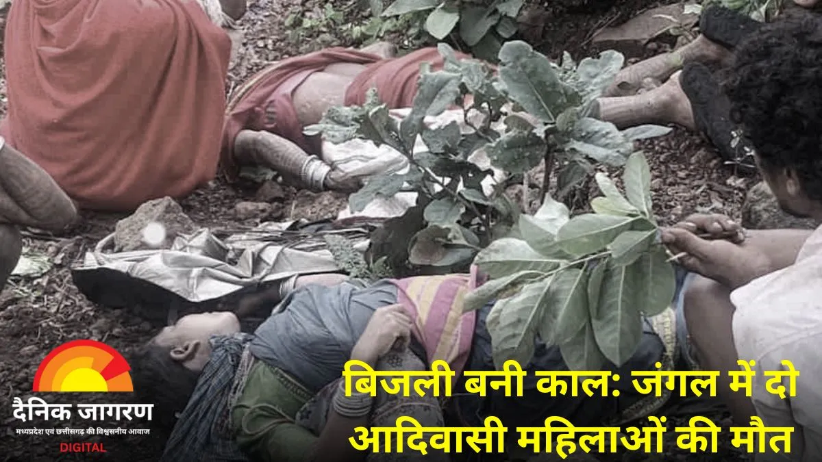 कवर्धा में आकाशीय बिजली का कहर: जंगल में भाजी तोड़ रहीं दो बैगा महिलाओं की मौके पर मौत
