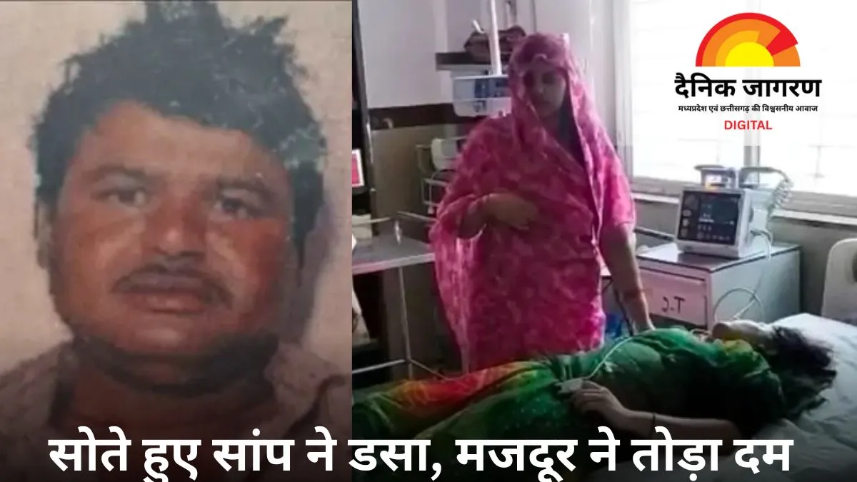 दतिया में सर्पदंश से मजदूर की मौत, महिला घायल; बरसात में बढ़ी घटनाएं