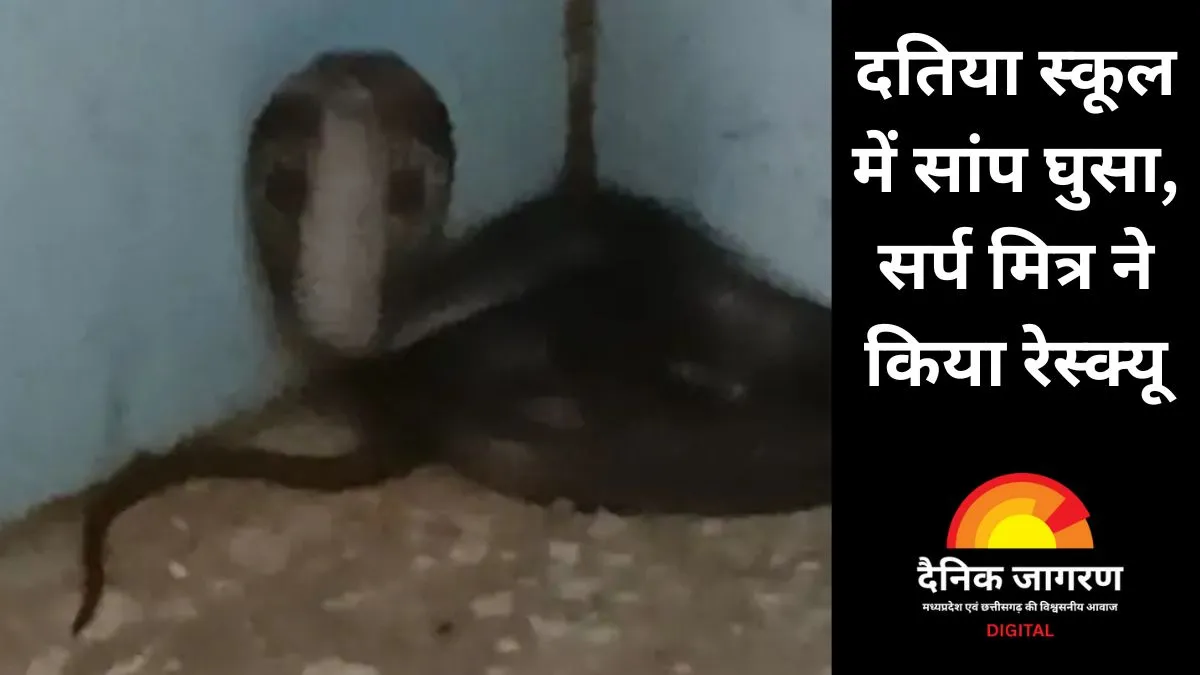 दतिया: स्कूल की क्लासरूम में घुसा विषैला सांप, 130 बच्चों की जान खतरे में थी; शिक्षक की सूझबूझ से टला हादसा