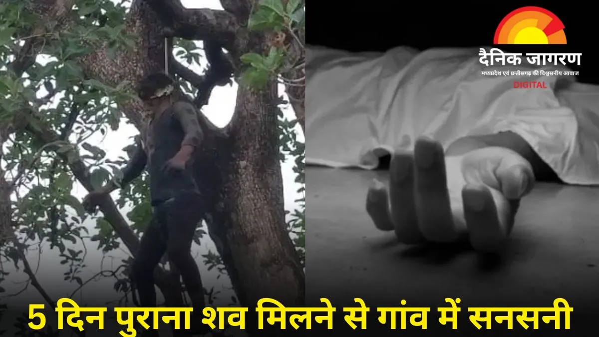 खेत के बीच पेड़ पर मिला सड़ी हालत में युवक का शव