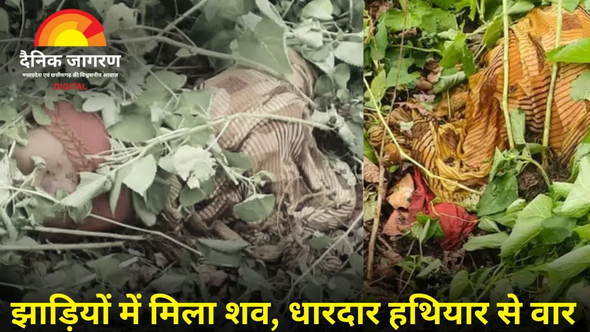 गौरेला-पेंड्रा-मरवाही में जंगल किनारे मिला शव, सिर व पीठ पर धारदार हथियार के घाव