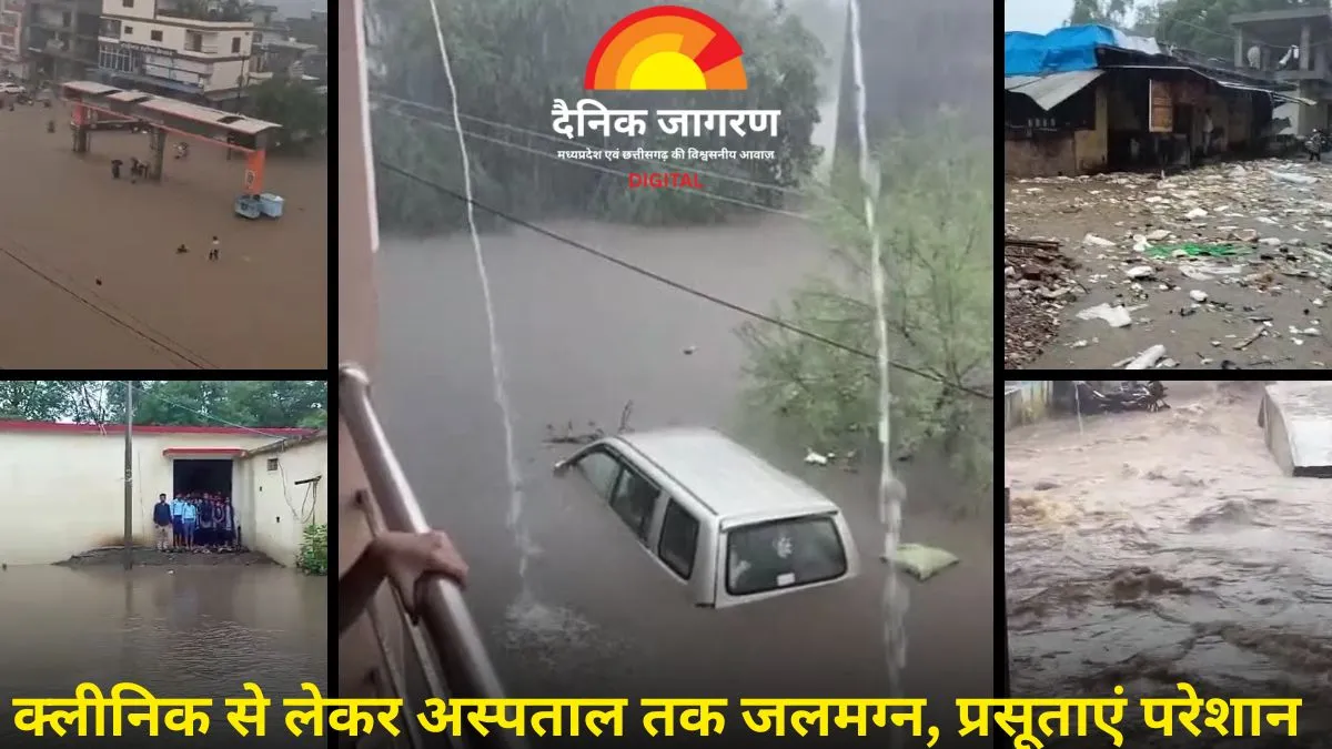 जिले में आफत की बारिश से तबाही: पुल बहे, कॉलोनियां जलमग्न, जनजीवन ठप