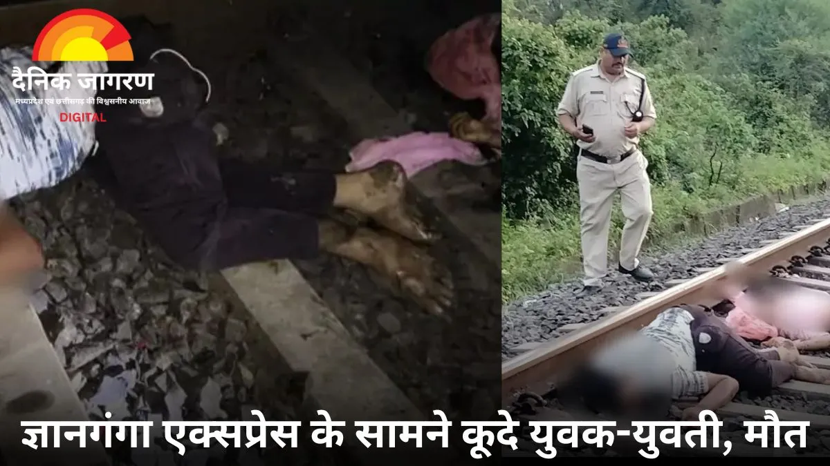 सूरजपुर में हाथी के हमले से बुजुर्ग की मौत, जंगल में 3 दिन बाद मिला शव