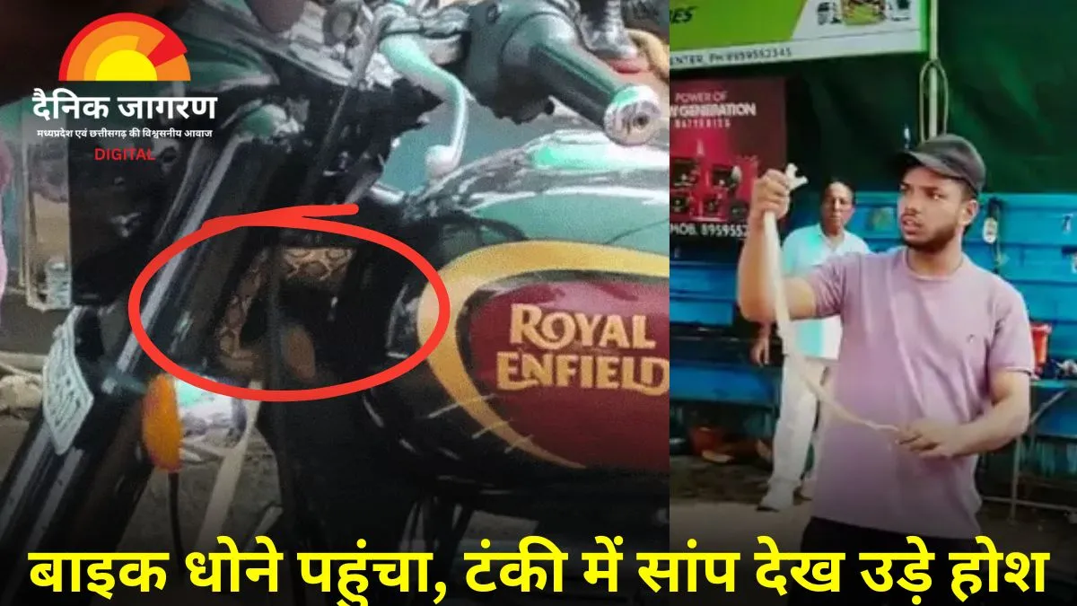 बुलेट में छिपा था रसेल वाइपर: दो घंटे बाइक लेकर घूमा छात्र, सर्विस सेंटर में खुला राज