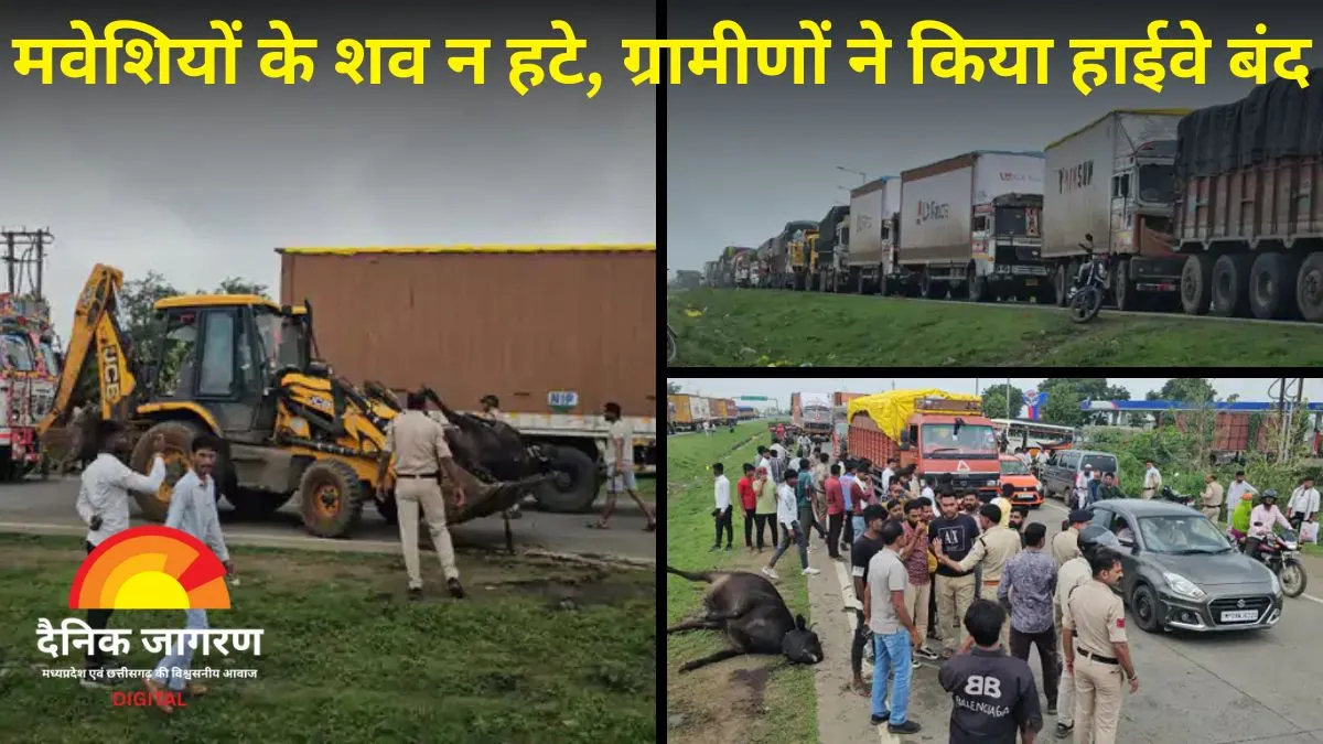 हाईवे पर मरी पड़ी रहीं गायें, गुस्साए ग्रामीणों ने किया चक्काजाम; दो घंटे फंसे रहे हजारों वाहन