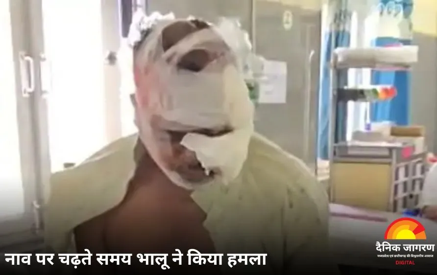 बैतूल में मछली पकड़ने गए दो लोगों पर भालू का हमला
