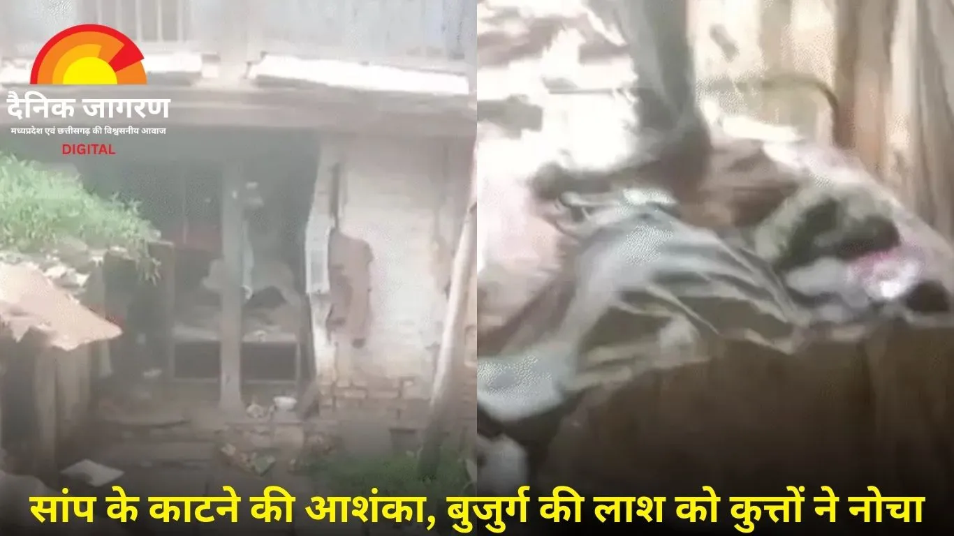 इंदौर में दर्दनाक घटना: बुजुर्ग का शव घर में मिला, कुत्ते नोंचते रहे