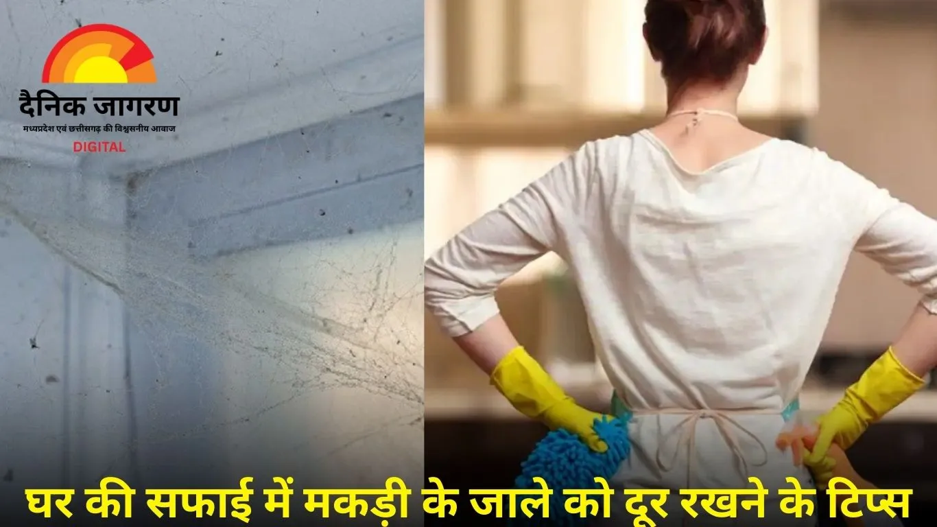 घर में बार-बार जाला बना रही मकड़ी? ये 5 आसान टिप्स अपनाकर हमेशा के लिए हटाएं