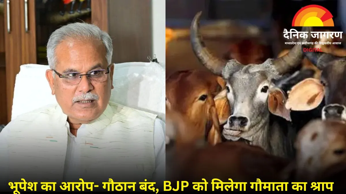 भूपेश बघेल का हमला: बोले- गौमाता का श्राप लगेगा BJP को, 20 दिन में सड़कों पर मरे 50 से अधिक मवेशी