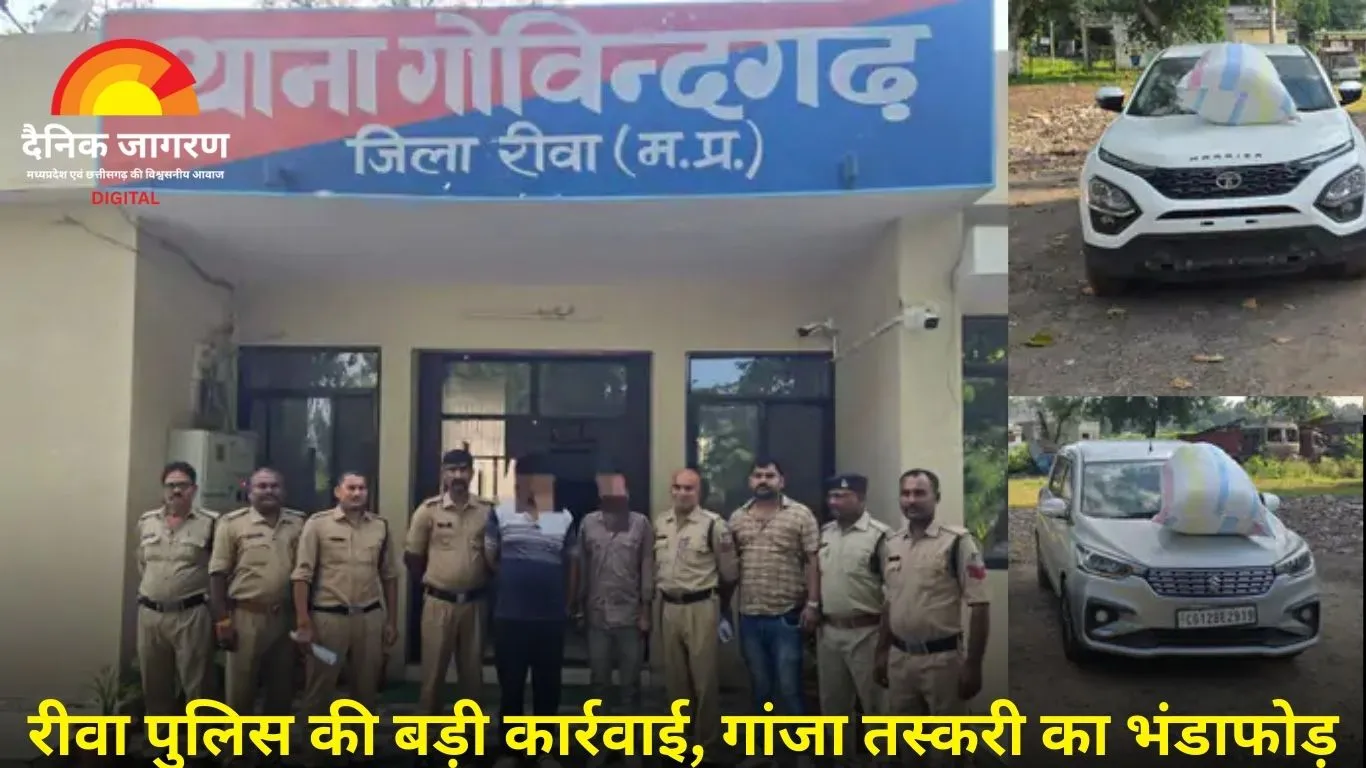 रीवा में 60 किलो गांजा जब्त, कीमत 6 लाख: दो आरोपी गिरफ्तार, मुख्य सप्लायर फरार