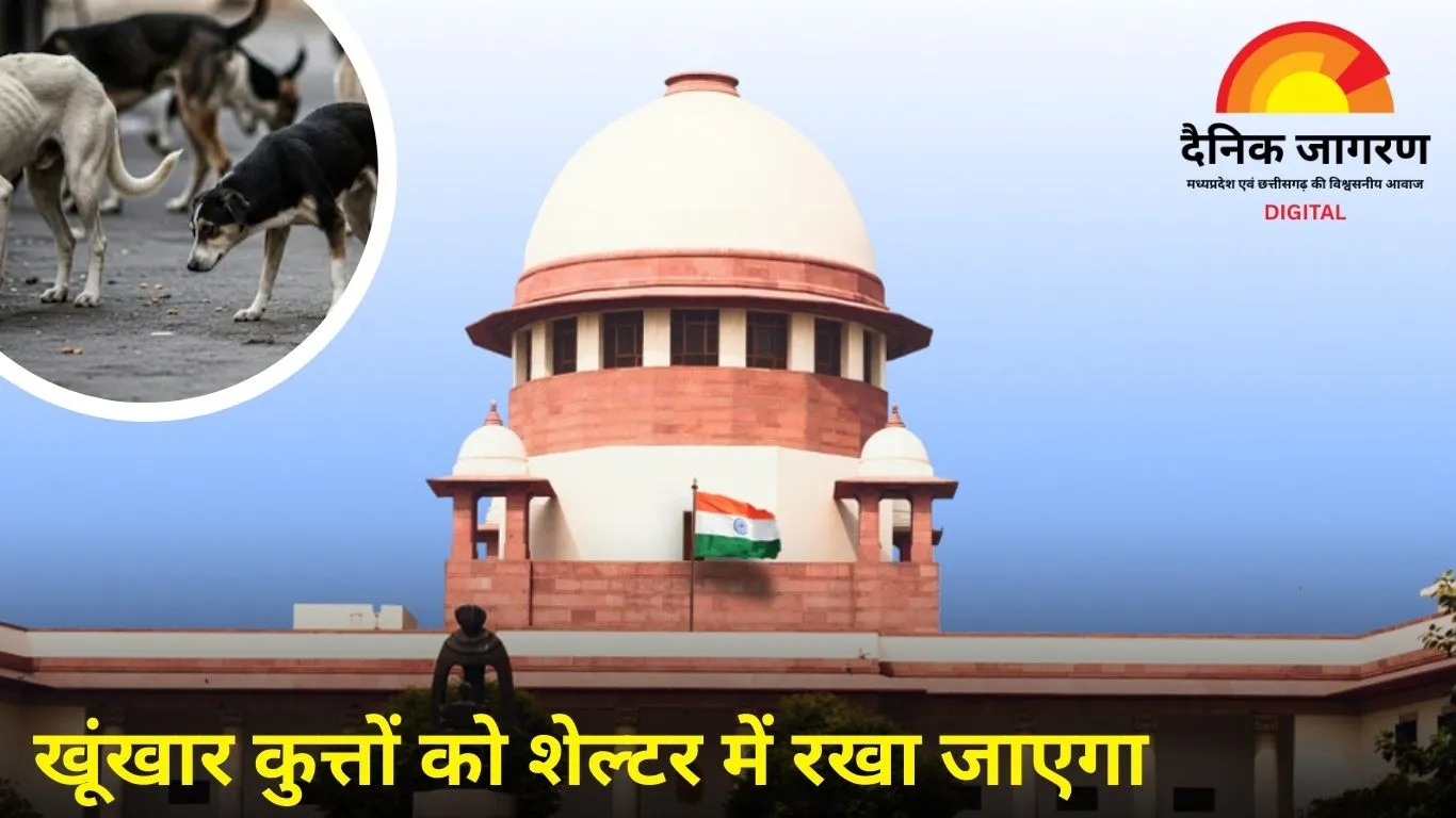 SC का फैसला: पकड़े गए सामान्य कुत्तों को नसबंदी के बाद छोड़ा जाएगा, खूंखार को कैद में रखा जाएगा