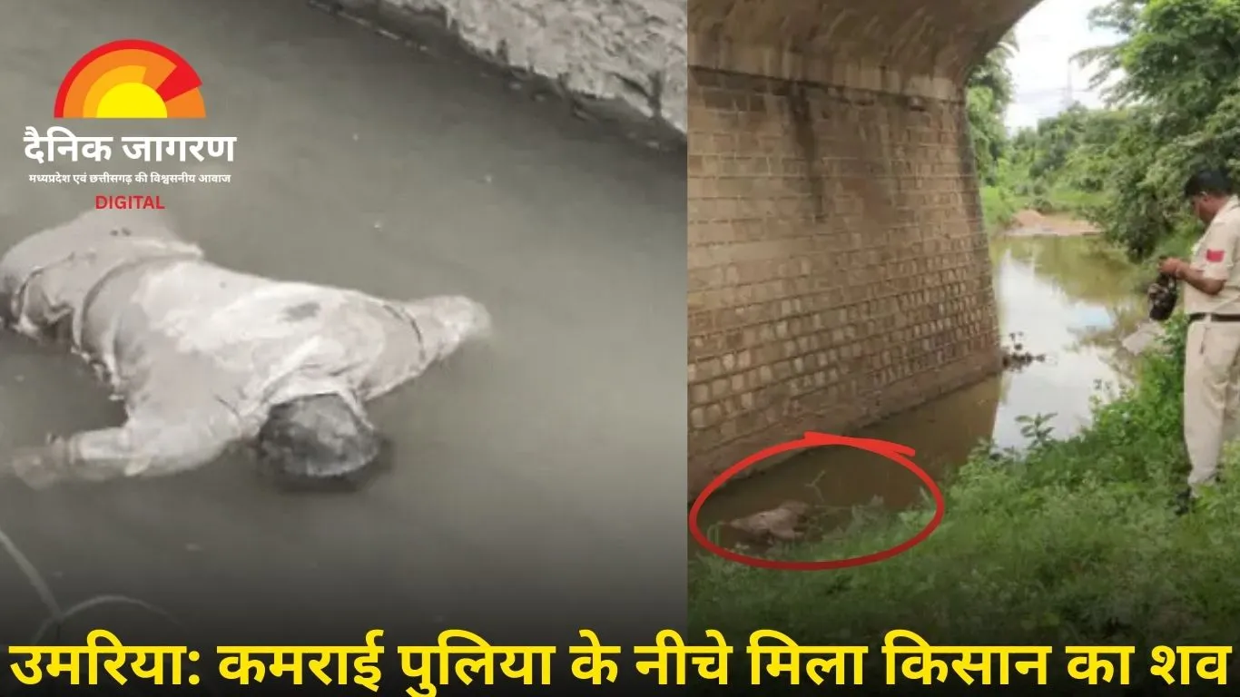 उमरिया में पुलिया के नीचे मिला किसान का शव, रोजाना मछली पकड़ने जाता था खेत से