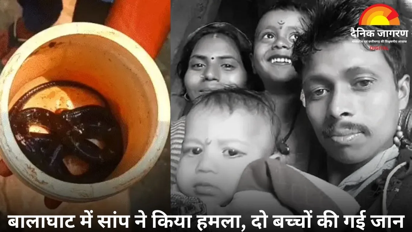 बालाघाट में सांप के काटने से दो बच्चों की दर्दनाक मौत, पिता की हालत गंभीर