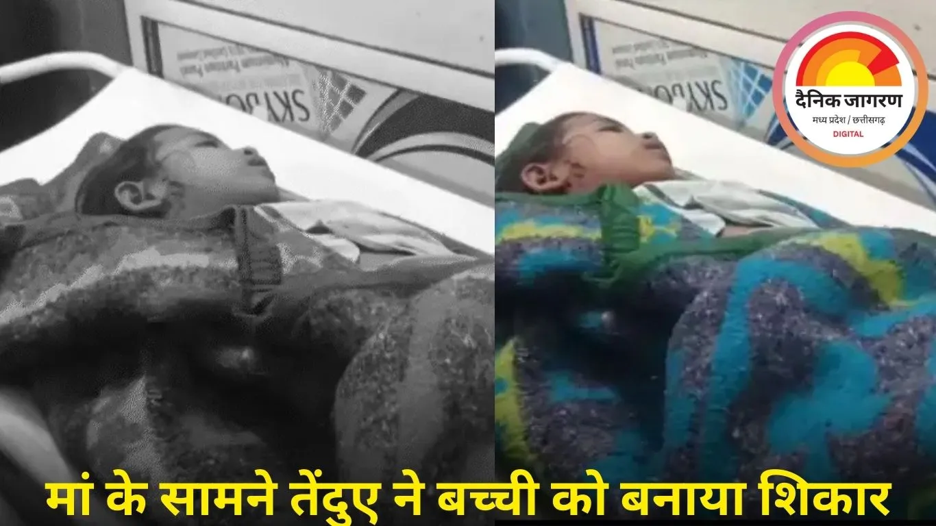 बड़वानी में तेंदुए का कहर, 35 दिन में दूसरी मासूम की मौत