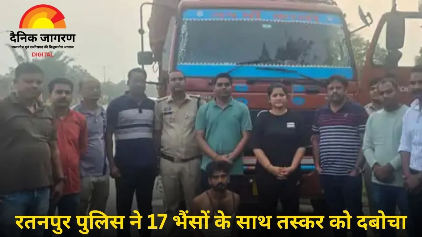 बिलासपुर में पकड़ा गया मवेशी तस्करी का गिरोह, 17 भैंस ले जा रहे थे यूपी, दो की मौत