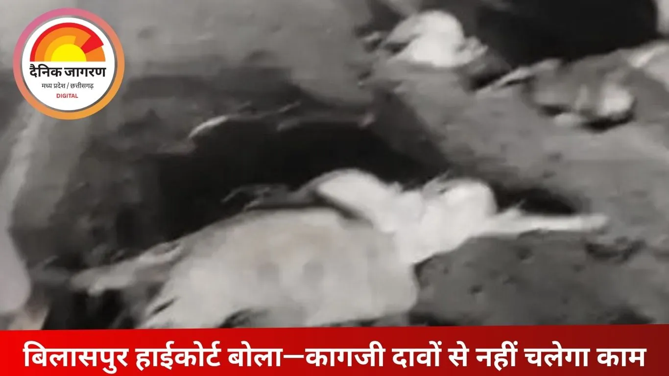 हाईकोर्ट की सख्ती के बावजूद अव्यवस्था कायम, 17 गायों की मौत पर सरकार को फटकार