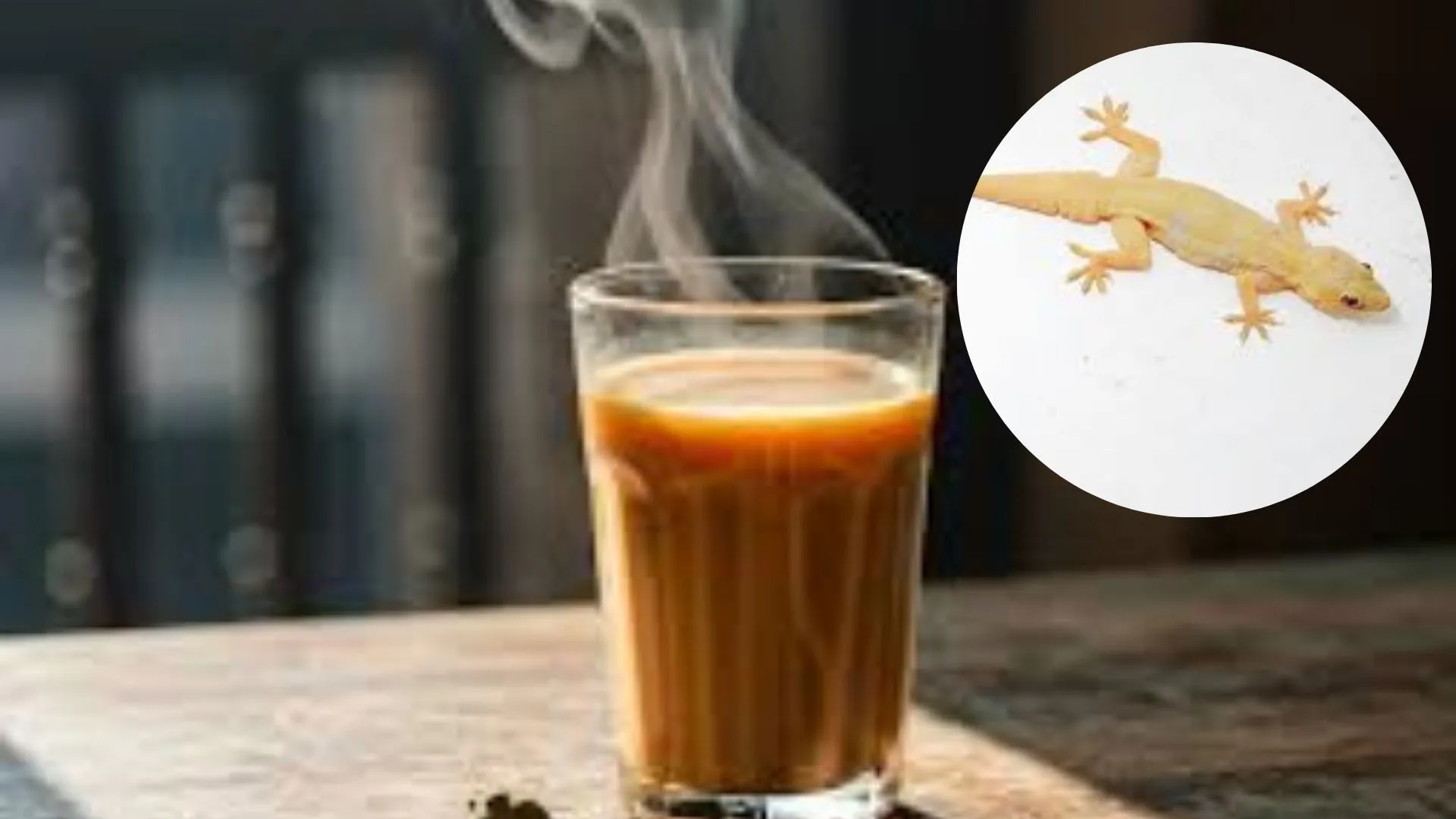 पन्ना में चाय में छिपकली गिरने से चार घायल, परिवार अस्पताल में भर्ती