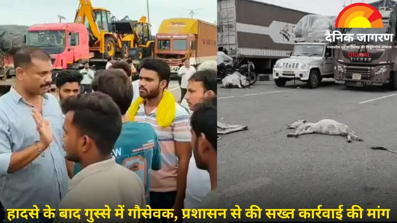 अज्ञात वाहन की टक्कर से 5 गोवंश की मौत, गौसेवकों ने लगाया जाम