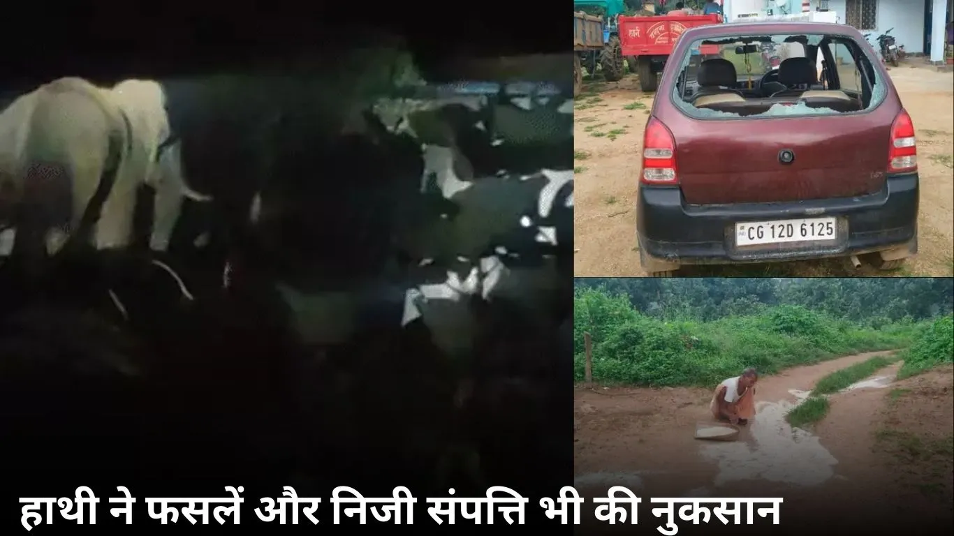 कोरबा में दंतैल हाथी ने मचाई तीन घंटे तक तबाही, ग्रामीणों में दहशत