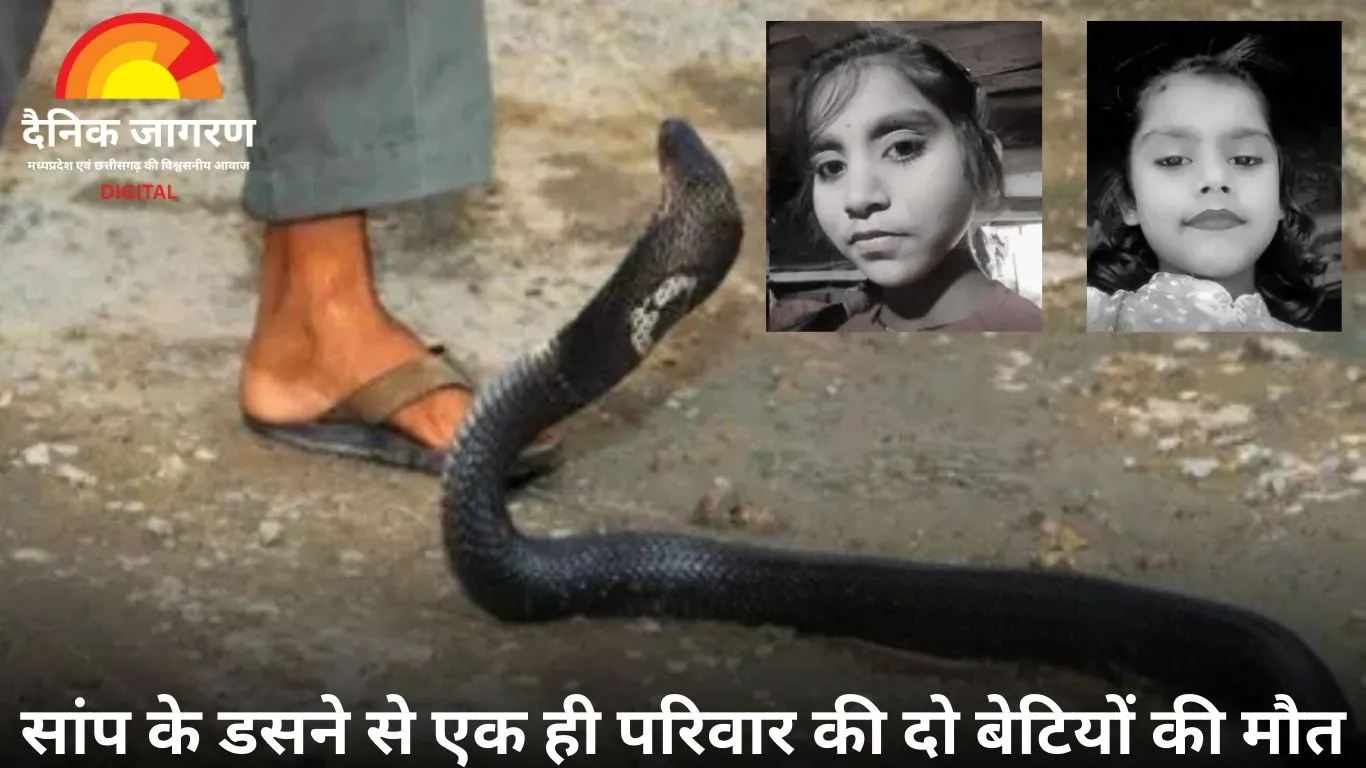 सतना में करैत के डसने से दो बहनों की मौत, 24 घंटे में परिवार पर टूटा दुख का पहाड़