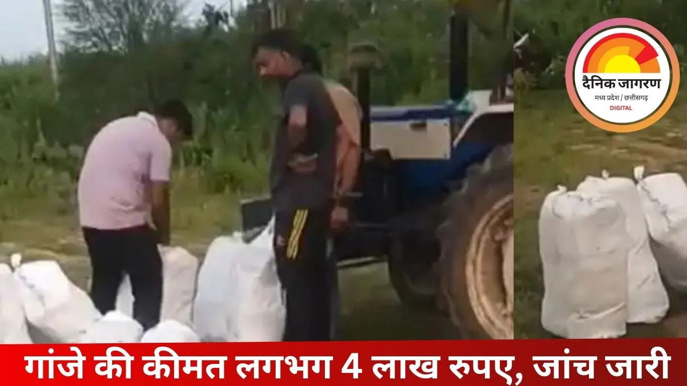 ओडिशा से छतरपुर ले जा रहे गांजा तस्कर पकड़े गए: शहडोल में 1.26 क्विंटल गांजा जब्त