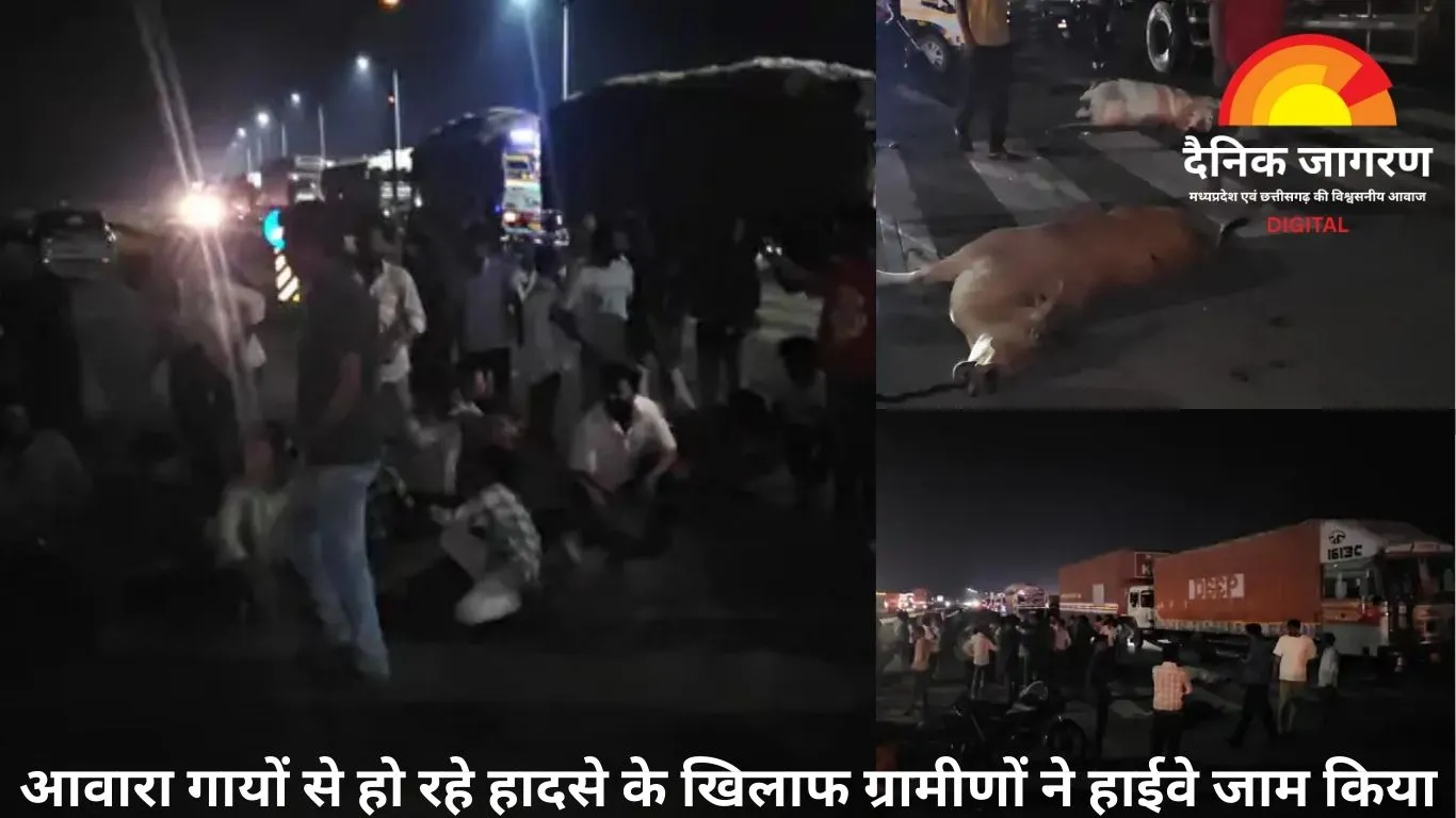 आगरा-मुंबई हाईवे पर कंटेनर ने कुचला 5 गायों को, ग्रामीणों ने किया चक्काजाम
