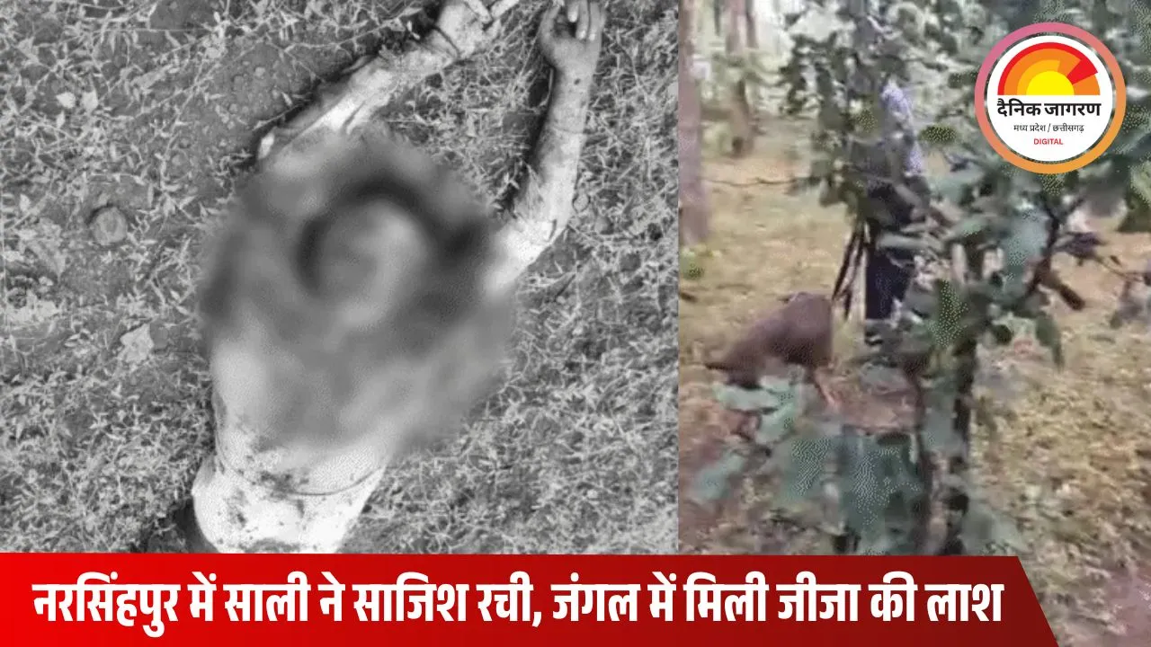 रील्स देखकर साली ने रची हत्या की साजिश: 50 हजार में जीजा की कराई सुपारी किलिंग, जंगल में फेंका गया शव