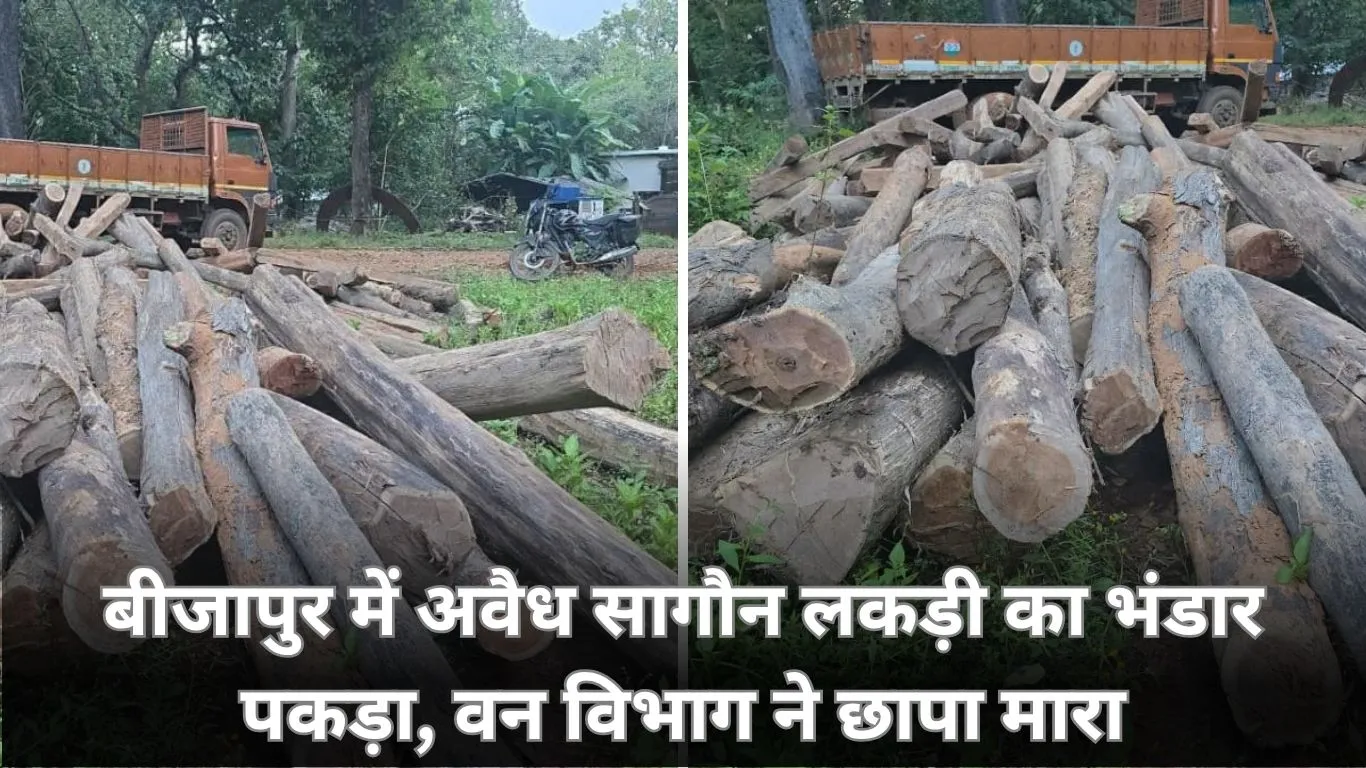 बीजापुर में वन विभाग की बड़ी कार्रवाई: अवैध सागौन लकड़ी का डंप पकड़ा, जांच जारी