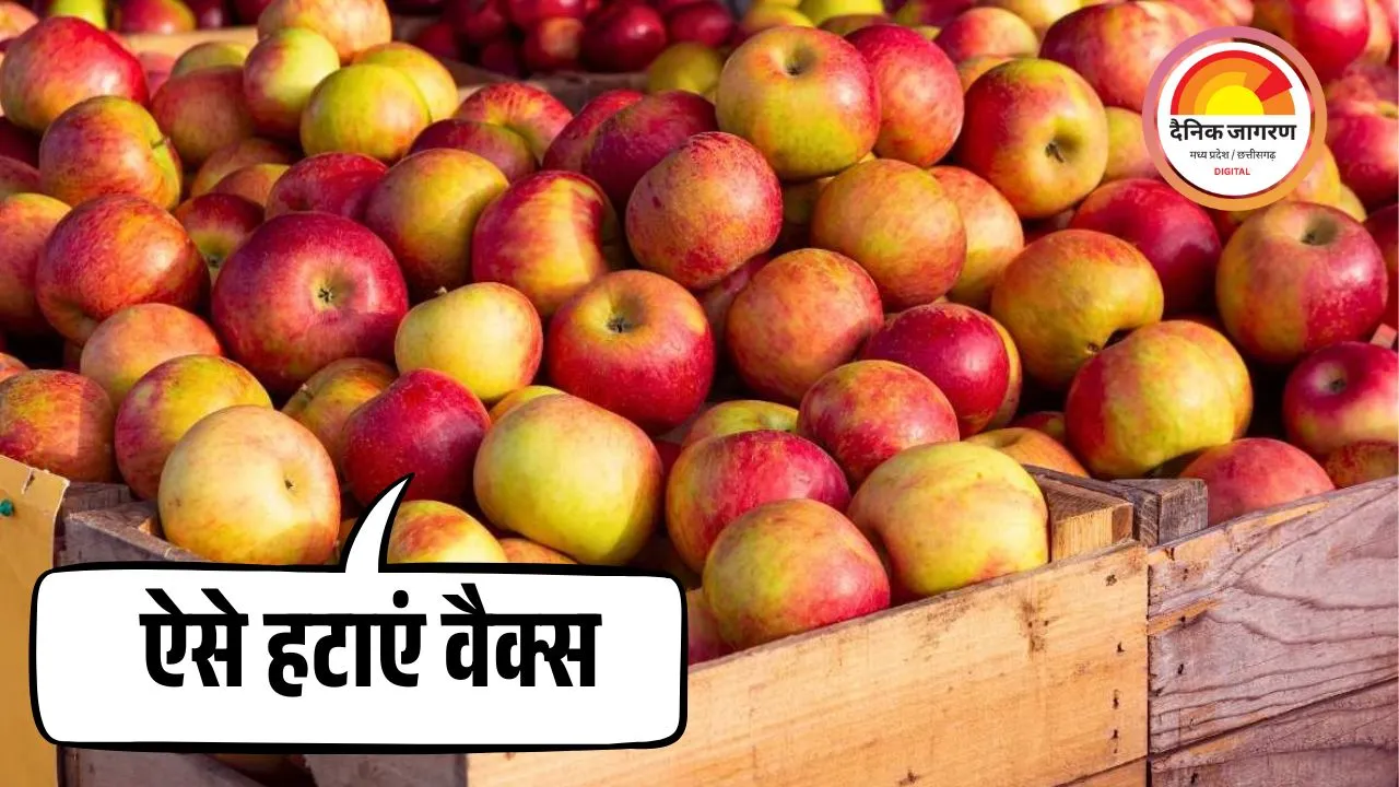 सेब की नकली चमक सेहत पर भारी, जानें इसे साफ करने के 4 उपाय