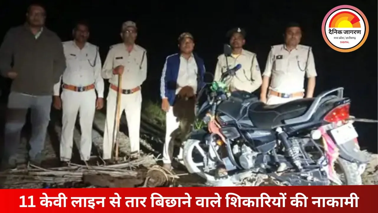 मैहर में बिजली का जाल हटाया, वन्यजीवों की सुरक्षा में वन विभाग का एक्शन
