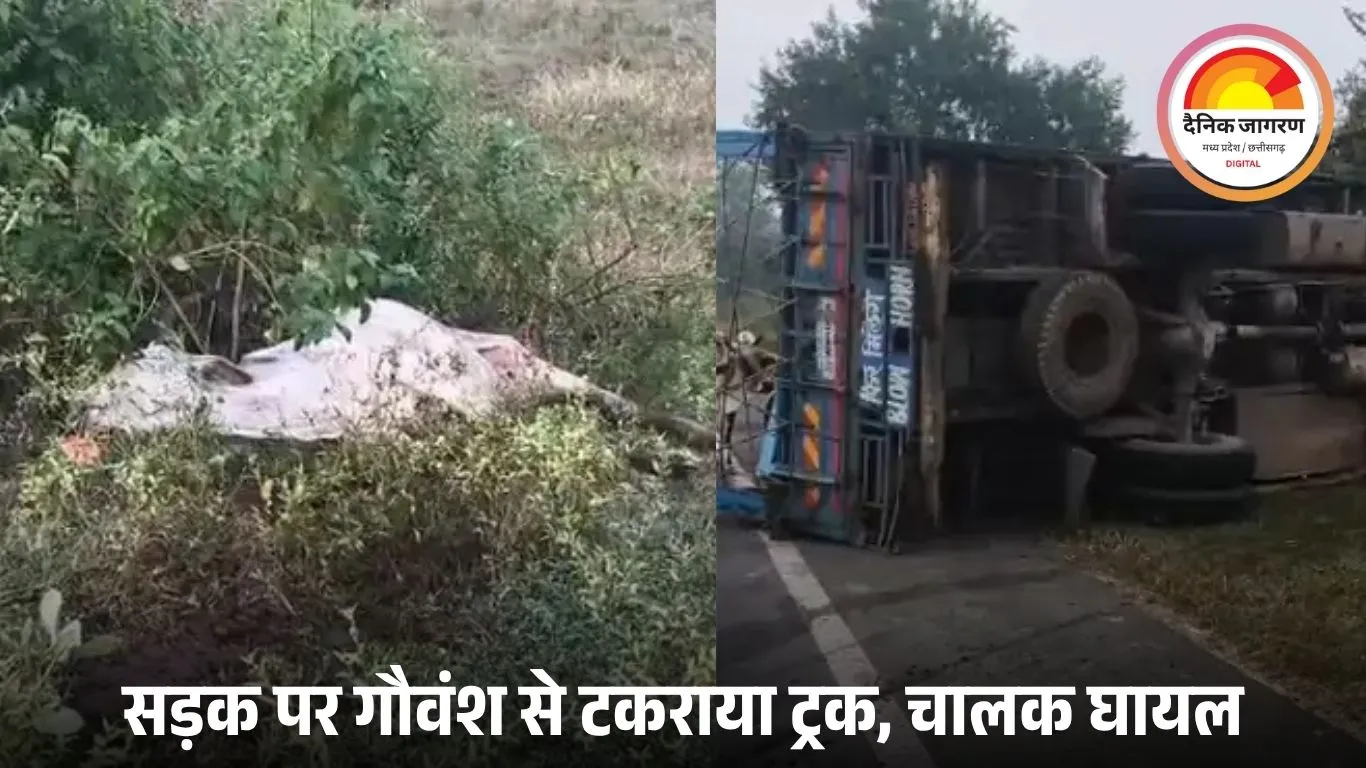 पन्ना-कटनी मार्ग पर ट्रक पलटा, गौवंश टकराने से दो की मौत, चालक घायल