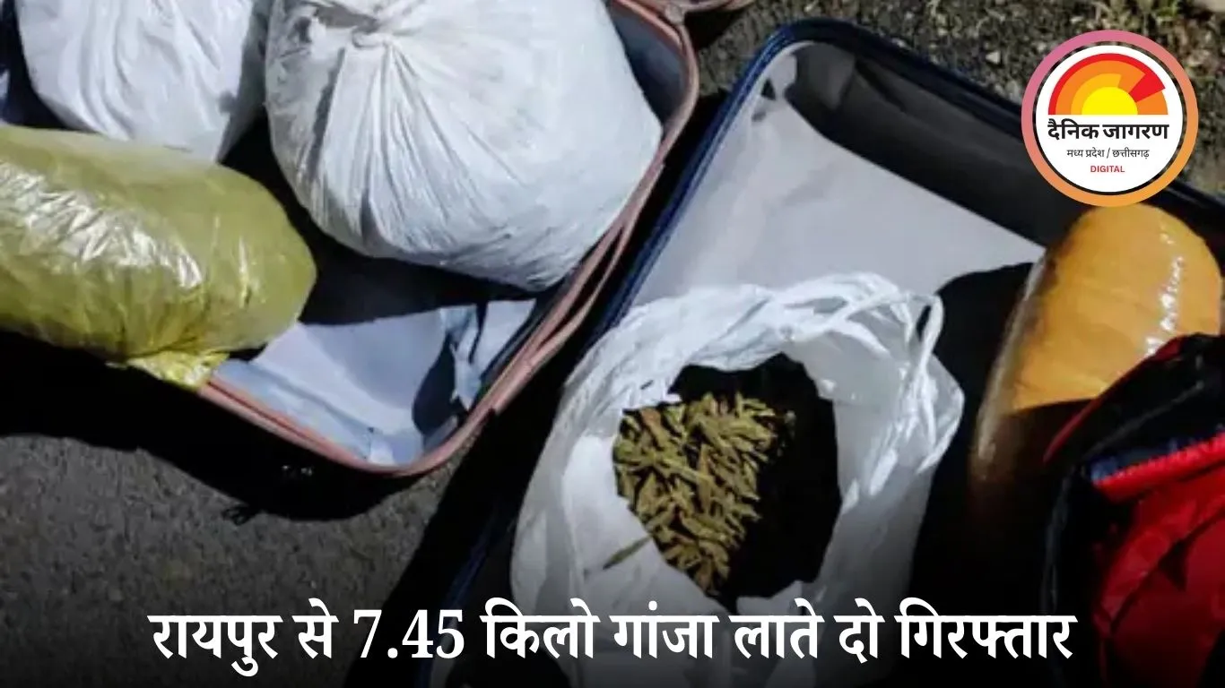 जबलपुर में प्रेमी जोड़ा गांजा तस्करी करते गिरफ्तार: रायपुर से 7.45 किलो माल लाकर शहर में बेचने की तैयारी