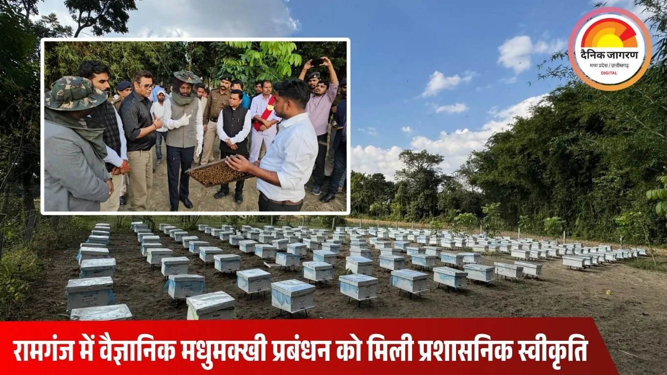 मधेपुरा के डीएम ने रामगंज वैज्ञानिक शहद परियोजना को उत्तर बिहार का मॉडल बताया