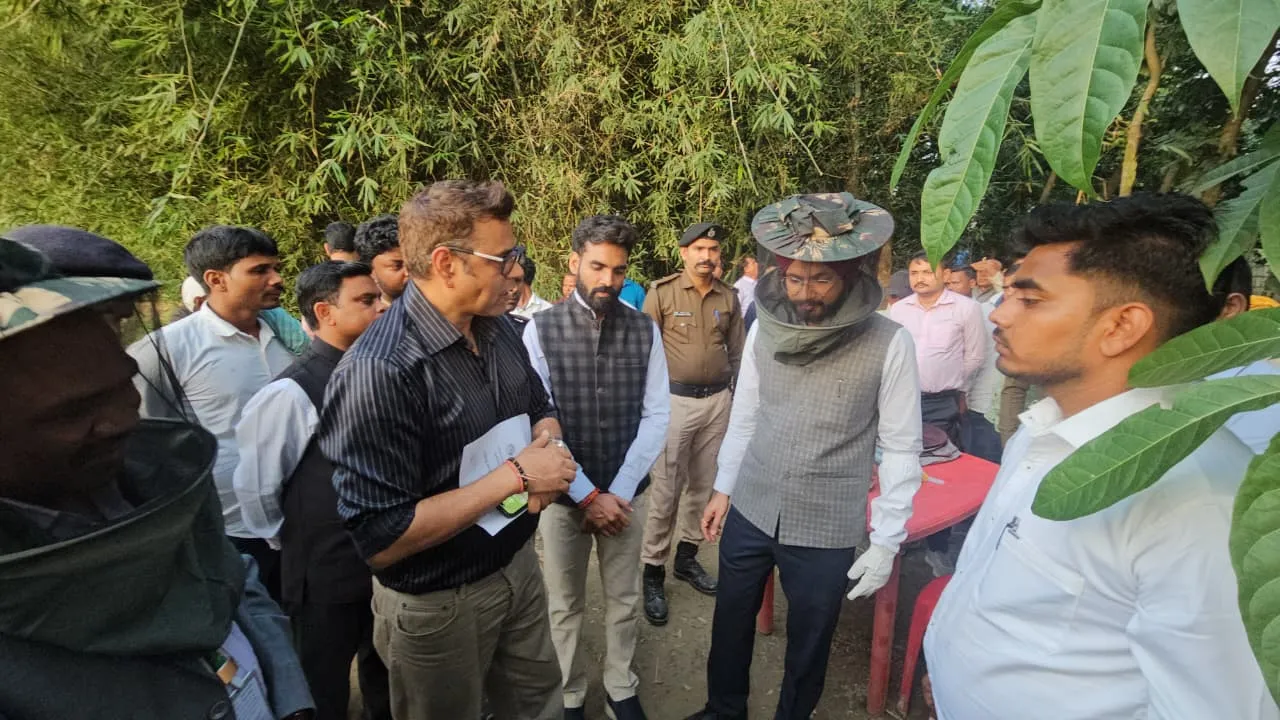 f626bde2-0b7b-4c1f-b864-68201d4a5f01