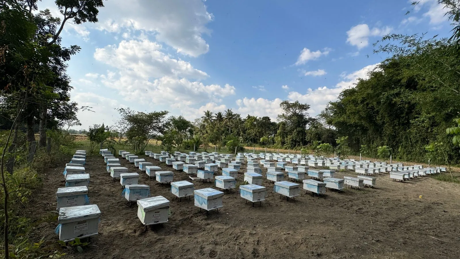 f906e29d-ba3c-4cb7-97c3-ce64ece490c9