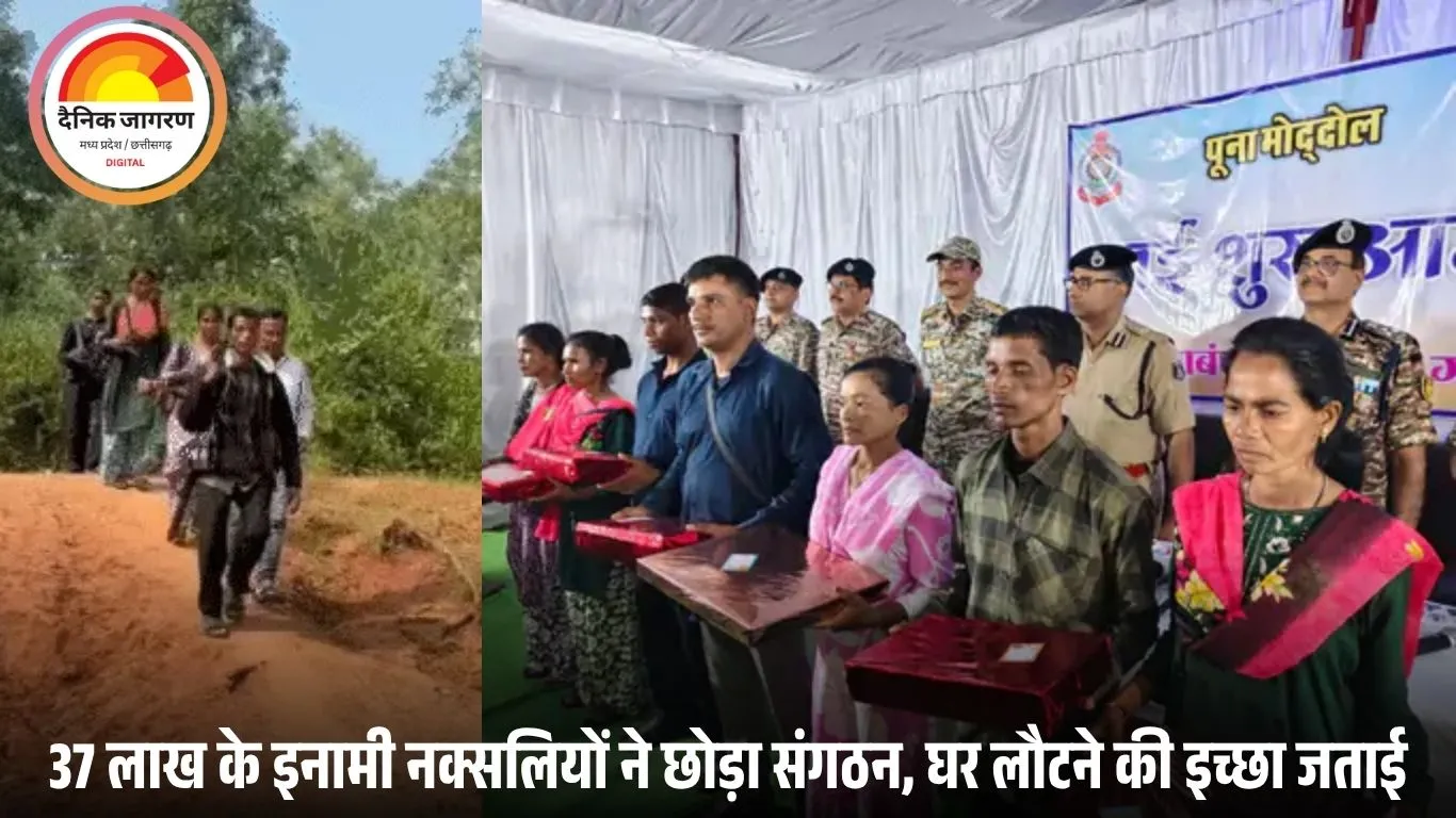 गरियाबंद में 37 लाख के इनामी 7 नक्सलियों का सरेंडर: कमांडर सुनील और सचिव एरिना समेत सभी ने हथियार डाले, बोले- अब घर लौटना चाहते हैं