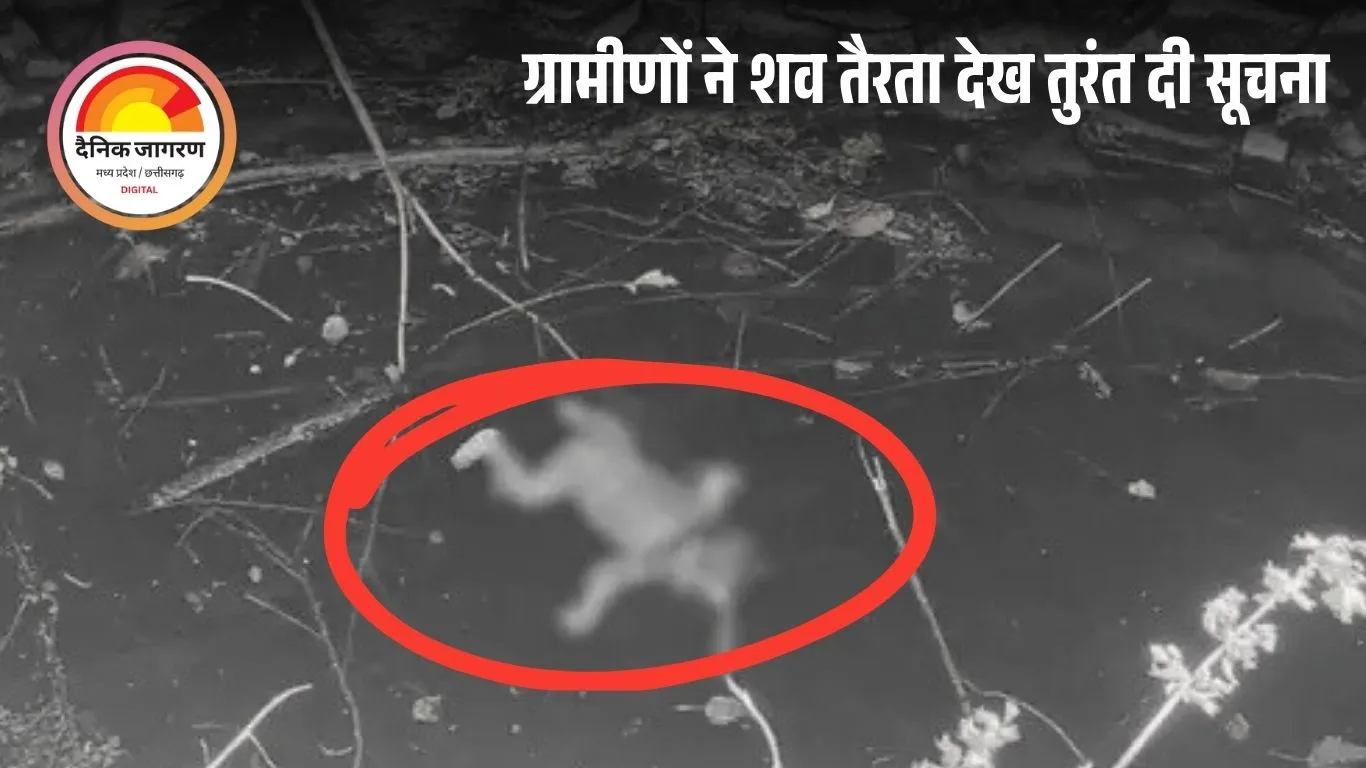 कवर्धा में कुएं में तैरता मिला नवजात बच्चे का शव, ग्रामीणों ने पुलिस को दी सूचना