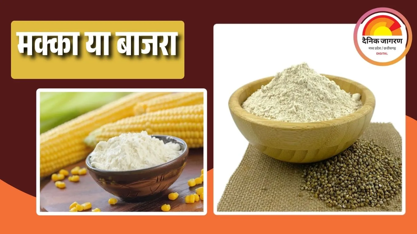 सर्दियों में मक्का या बाजरा? जानें कौन सा अनाज देता है ज्यादा फायदा, क्या कहते हैं न्यूट्रीशन एक्सपर्ट