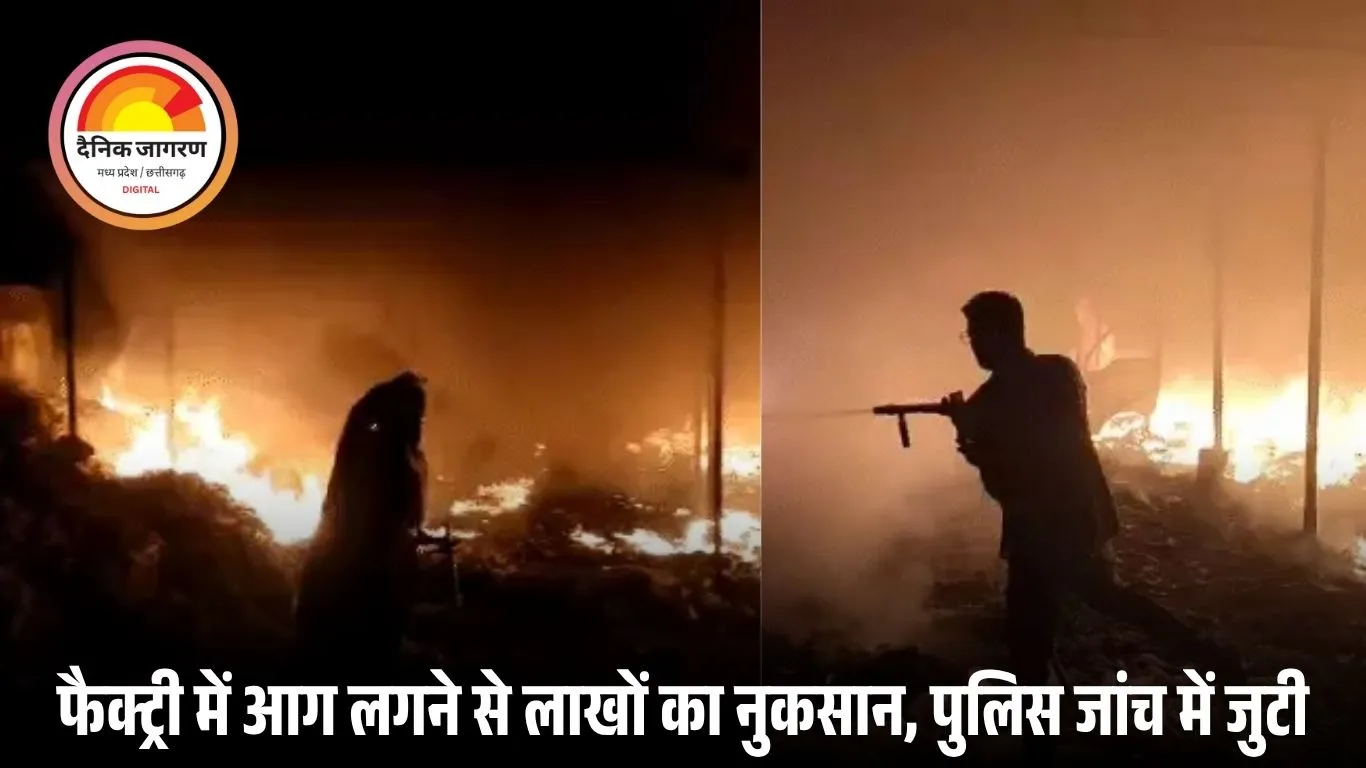 मनेन्द्रगढ़ में भीषण आग से हड़कंप: प्लास्टिक फैक्ट्री और गाड़ी जलकर राख, दमकल की 3 गाड़ियों ने पाया काबू