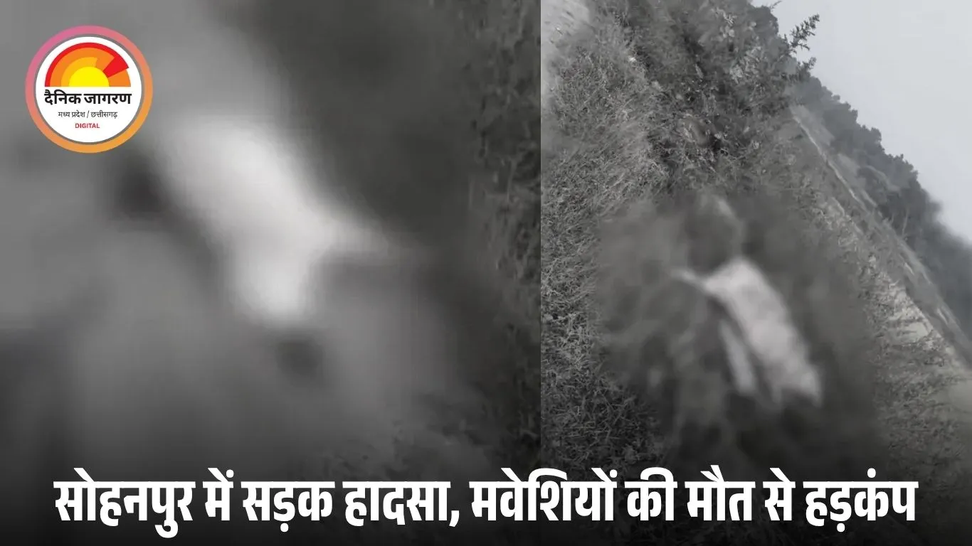 रायगढ़ में हाईवा ट्रक की चपेट में 4 गाय और 4 बकरियां मरीं, चरवाहा बाल-बाल बचा