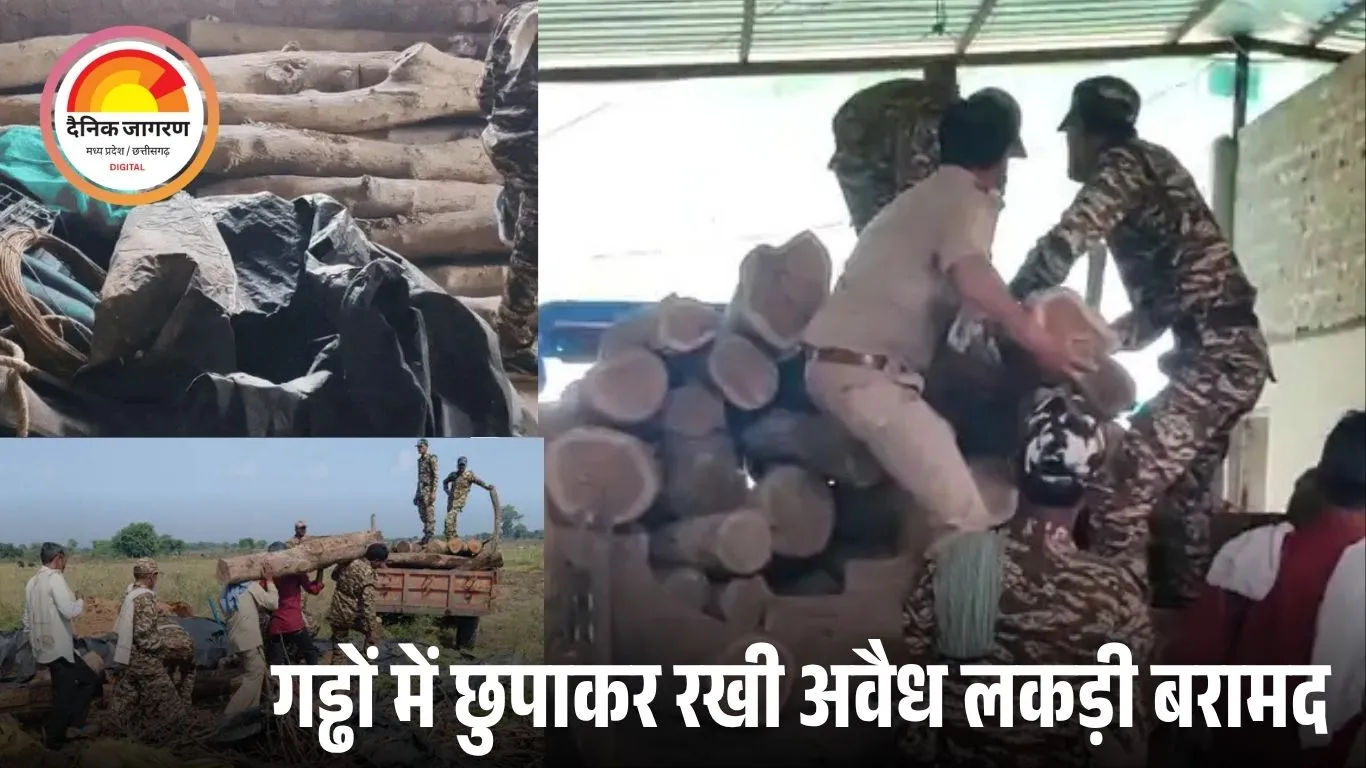 बेगमगंज में वन विभाग का बड़ा छापा: शारिक मछली गैंग के फार्महाउस से जब्त हुई 10 लाख की सागौन लकड़ी